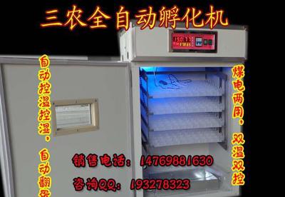 【全自动小型孵化机孵化器鸡 孵化器孵蛋器孵化器大型全自动孵化机】价格_厂家_图片 -