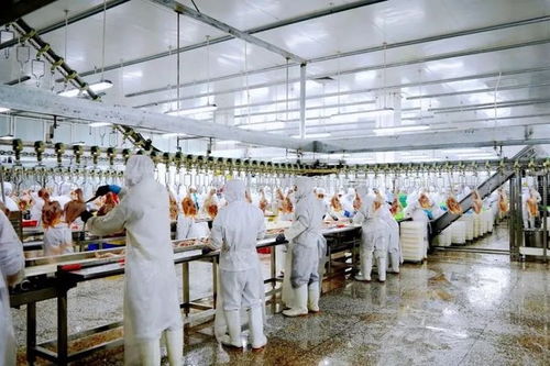 底气铸造 实力强劲,幸福辉南活力倍增