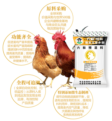 新希望六和预混料添加剂蛋中鸡青年鸡饲料