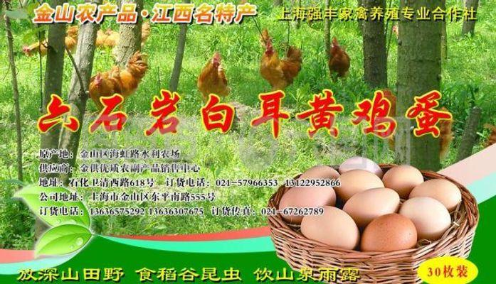 白耳黄鸡鸡蛋篮标签图片