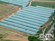 【猪圈排粪图】价格、产品供应,猪圈排粪图厂家批发-1024商务网