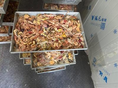 [鸡肠批发]山东临沂河东区鸡副产品 1600.00元/吨蛋鸡肠 _ 一亩田