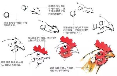 中国画中鸡的各个部分画法学习_画面