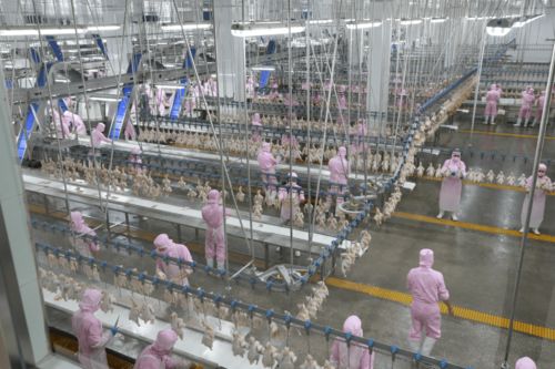 援产业扶智脱贫 促团结稳定边疆 首都国企援疆工作纪实
