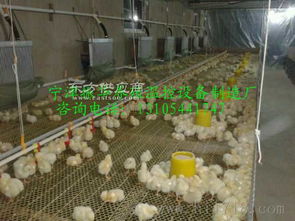 供应养殖升温设备图片